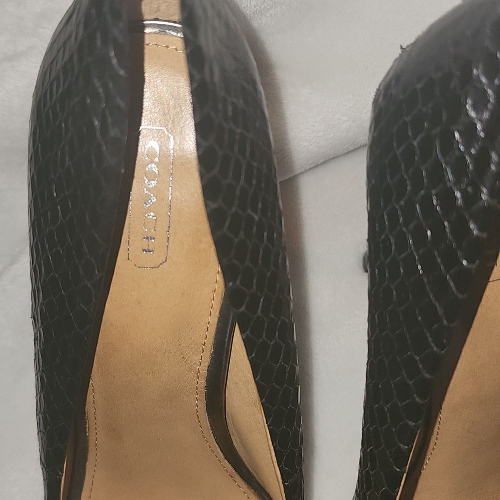 Coach Kristina Pumps  